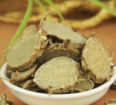 Introducción del efecto de la curcuma.