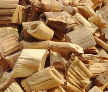 ¿Cómo comer raíz de caña?
