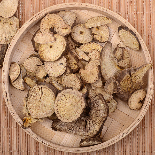 Sabia Japonica (Qing Feng Teng)